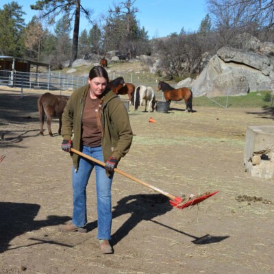 Amara_cleaning REHOME