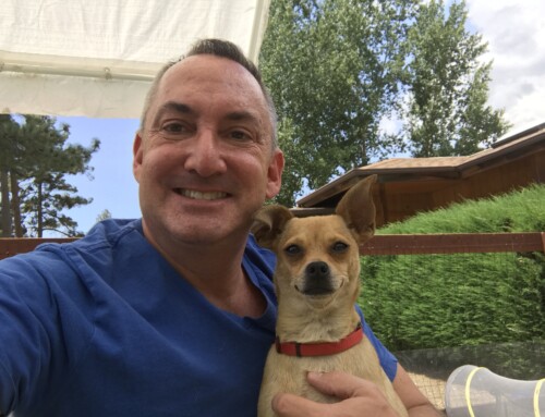 Happy Tails: Pebbles