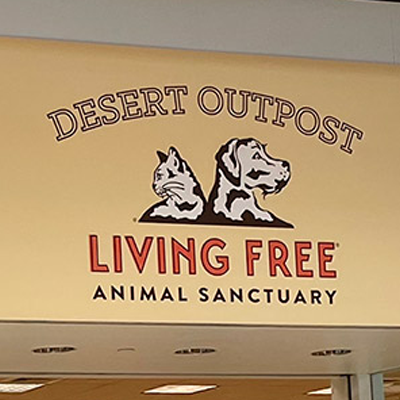 Desert Outpost