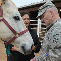 veteran-and-horse-4 about us